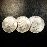 Fist Full of Dollars by Gregory Wilson - Eisenhower Dollars