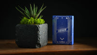 Nexus Playing Cards by Max Bondarchuk