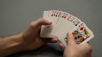 Nemesis Deck by Nick Locapo