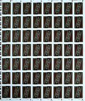 Run Playing Cards: Bankroll Edition (Uncut Sheet)