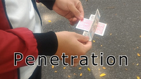 Penetration by Arnold video DOWNLOAD