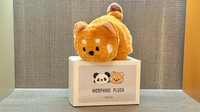 Morphing Plush (Panda to Raccoon) by Jackie Zhao and JT Magic