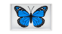 Omni Butterfly by Hyde Ren & Bacon Magic