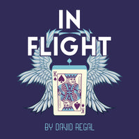 In Flight by David Regal