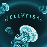 Jellyfish Playing Cards by Drew Hughes