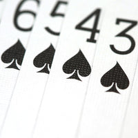 Skull Deck (Bicycle) by Magic Makers