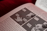System for Amazement by Giacomo Bertini - Book
