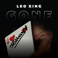 GONE by Leo Xing
