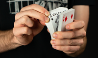 Tally-Ho Elite Edition Playing Cards (Red) by USPCC
