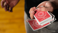 Tally-Ho Elite Edition Playing Cards (Red) by USPCC
