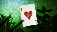 Succulents Playing Cards
