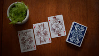 Pegasus Playing Cards by Drew Hughes
