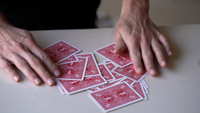 Nemesis Deck by Nick Locapo
