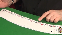 The Deck That Shuffles Itself (Gimmick and Online Instructions) by Dominique Duvivier - Trick
