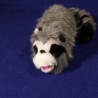 Roxie The Raccoon (Spring Animal) - Trick