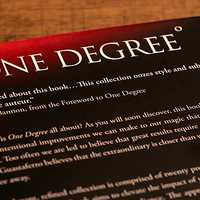 One Degree by John Guastaferro and Vanishing Inc.