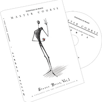 Master Course Sponge Balls Vol. 1 by Daryl - DVD