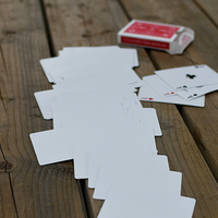 Alpha Deck (Cards and Online Instructions) by Richard Sanders - Trick