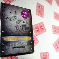 The Perfect World (DVD and Deck) Mago Migue and Luis De Matos