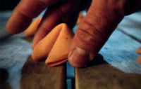 Rice Papers by Homer Liwag
