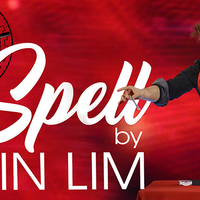 The Vault - Spell by Shin Lim video DOWNLOAD