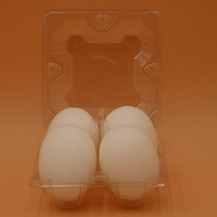 Sponge Eggs (4pk.) by Alan Wong - Trick