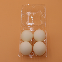 Sponge Eggs (4pk.) by Alan Wong - Trick