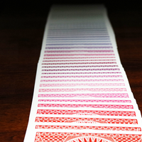 Spectrum Tally Ho Deck by US Playing Card Co.