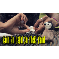 Coin In card by Jibrizy - Video DOWNLOAD