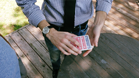ReCard Monte by Steven Himmel video DOWNLOAD
