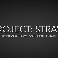 Project Straw by Brandon David & Chris Turchi video DOWNLOAD