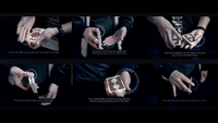 The Foundation by SansMinds - DVD
