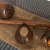 Cheppum Panthum Coconut Shell Cups and Wand set by Gary Kosnitzky - Trick