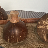 Cheppum Panthum Coconut Shell Cups and Wand set by Gary Kosnitzky - Trick