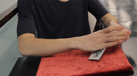 Second Form By Nick Vlow and Sergey Koller Produced by Shin Lim video DOWNLOAD

