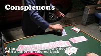 The Oddyliciou5 Package by The Mooloolaba Shuffle video DOWNLOAD
