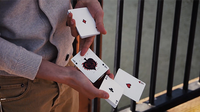 ShinSplint 2.0 by Shin Lim video DOWNLOAD
