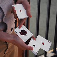 ShinSplint 2.0 by Shin Lim video DOWNLOAD