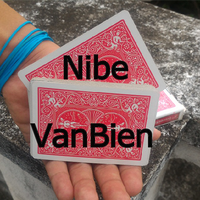 Nibe by VanBien video DOWNLOAD