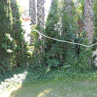 The End of My Rope by Chris Philpott - Trick