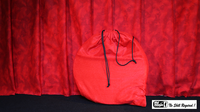 12 inch Linking Rings SS (8 Rings) by Mr. Magic - Trick
