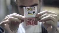 Rejoined by João Miranda Magic and Julio Montoro - Trick
