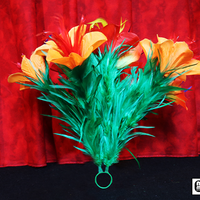 Classic Sleeve Bouquet Pair (6) Deluxe by Mr. Magic - Trick