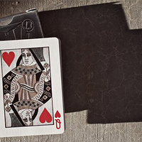 Deck ONE Industrial Edition Playing Cards by theory11