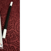 Professional Rising Wand by Big Guy's Magic - Trick