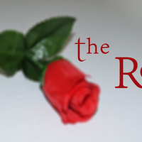 The Rose by Sandro Loporcaro (Amazo) video DOWNLOAD