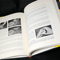 Spoiler Alert (Introduction by John Bannon) by Ryan Matney - Book
