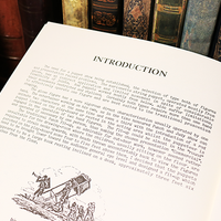 The Lilliputians by Will Ayling - Book