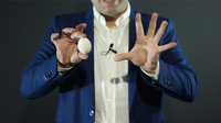 Silk to Egg PRO (Brown) by João Miranda - Trick
