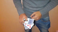 Crocodile Closing by Zack Lach video DOWNLOAD
